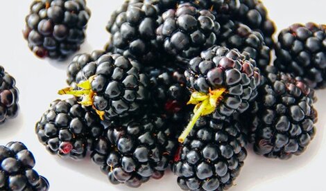 Blackberries