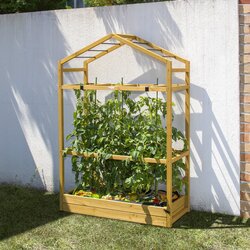 Tomato Greenhouse