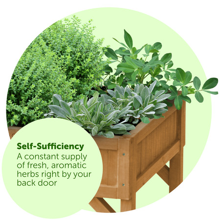 herb_garden_herbs.png