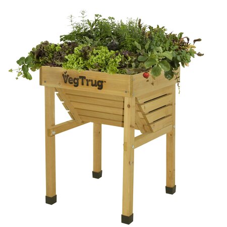 vtkidn0460_kids_vegtrug.jpg