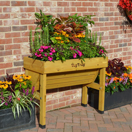 VegTrug Raised Garden Planter