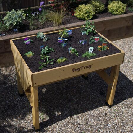 classic_pollinator_planted_top.jpg