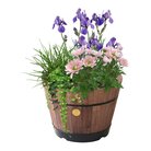 babsdb 0770_build_a_barrel_dark_brown_planted.jpg