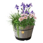 babsgw 0770__build_a_barrel_grey_planted.jpg