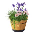 babsn 0770_build_a_barrel_natural_planted.jpg