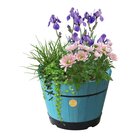 babspb 0770_build_a_barrel_blue_planted.jpg