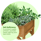 herb_garden_herbs.png