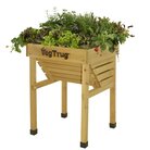 vtkidn0460_kids_vegtrug.jpg