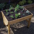 classic_kitchen_planted_top.jpg